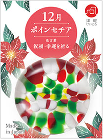 12月　ポインセチア