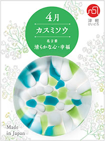 4月　カスミソウ