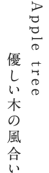 Apple tree　優しい木の風合い