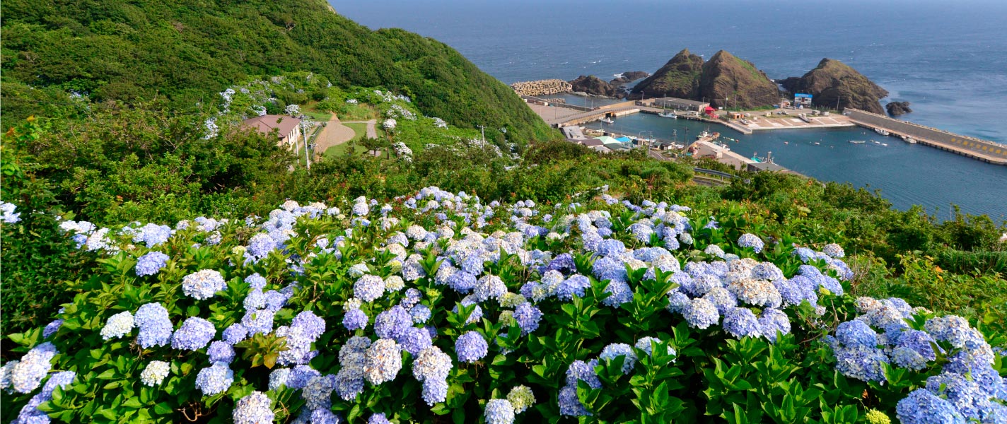 青い森の風景と津軽びいどろ