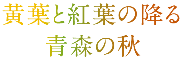 黄葉と紅葉の降る青森の秋