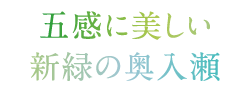 五感に美しい新緑の奥入瀬