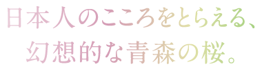 日本人の心をとらえる、幻想的な青森の桜